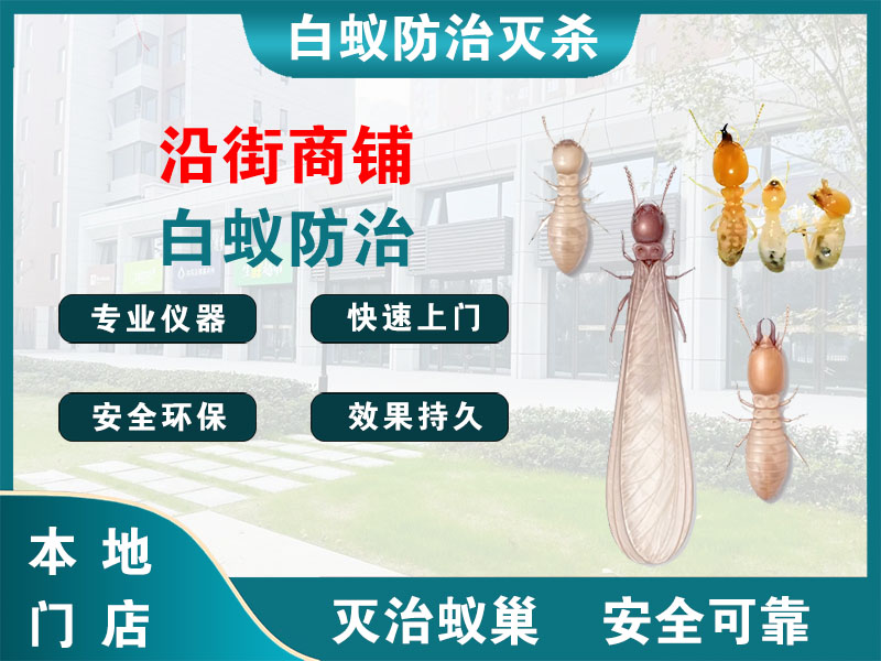 赣榆沿街商铺白蚁防治