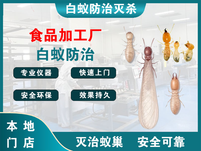 赣榆食品加工厂白蚁防治