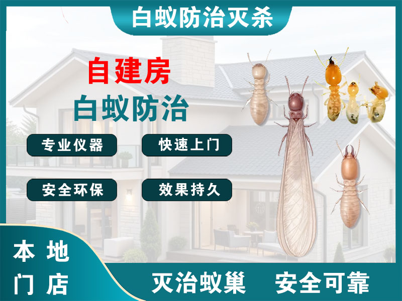 赣榆自建房白蚁防治