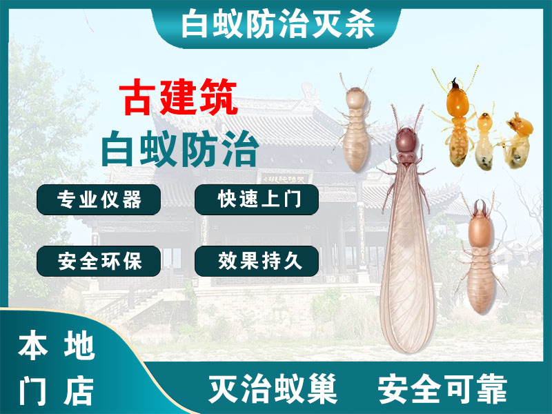 赣榆古建筑白蚁防治
