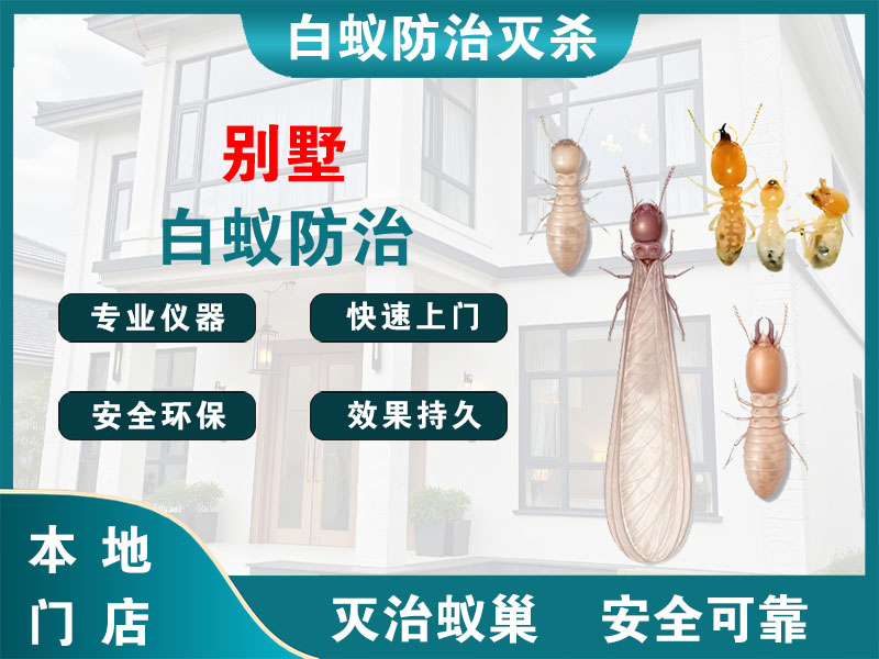 赣榆别墅白蚁防治