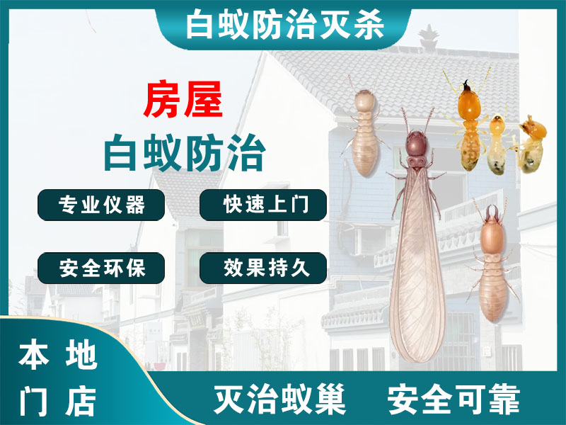 赣榆房屋白蚁防治